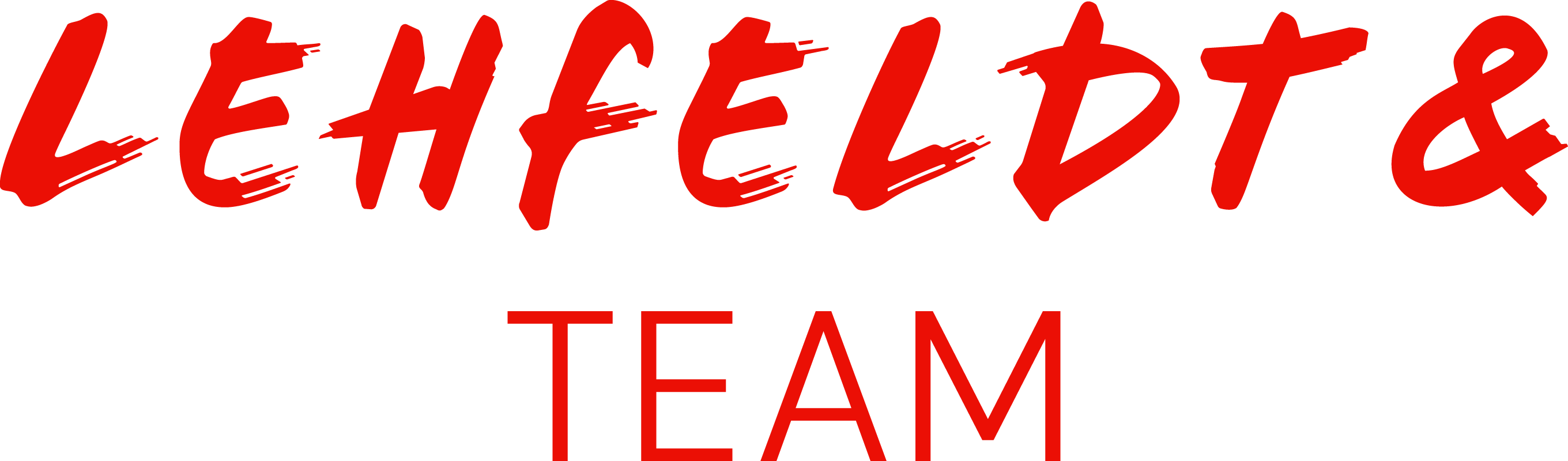 LEHFELDT & TEAM Logo